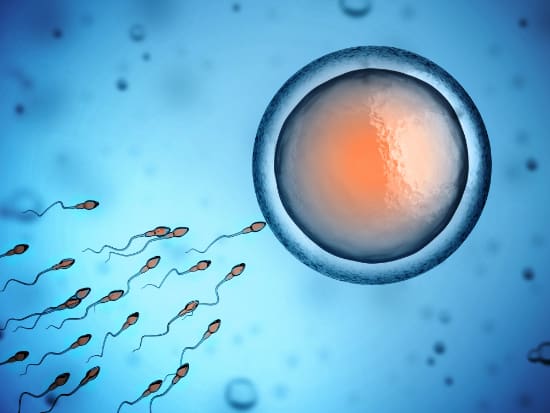 Valerie-Salt-Fertility-Acupuncture-large sperm swimming towards and egg - fertility acupuncture support
