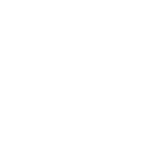 Valerie Salt_Submark White300